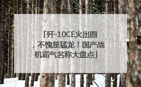 歼-10CE火出圈，不愧是猛龙！国产战机霸气名称大盘点