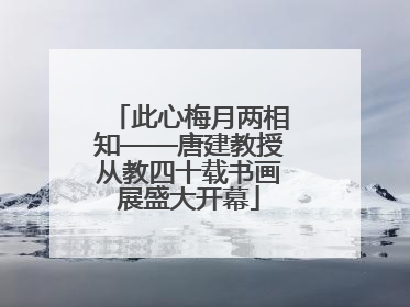 此心梅月两相知——唐建教授从教四十载书画展盛大开幕