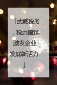 武威税务：税惠赋能 激发企业发展新活力