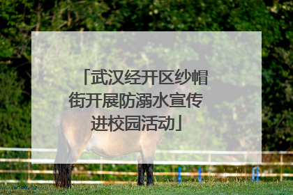 武汉经开区纱帽街开展防溺水宣传进校园活动