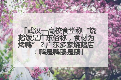 武汉一高校食堂称“烧鹅饭是广东俗称，食材为烤鸭”？广东多家烧鹅店：鸭是鸭鹅是鹅