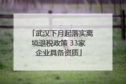 武汉下月起落实离境退税政策 33家企业具备资质