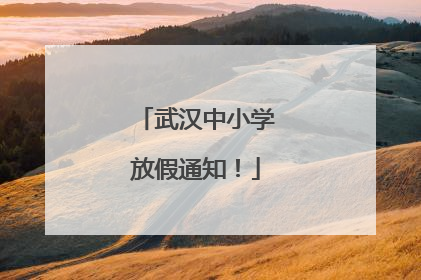 武汉中小学放假通知！