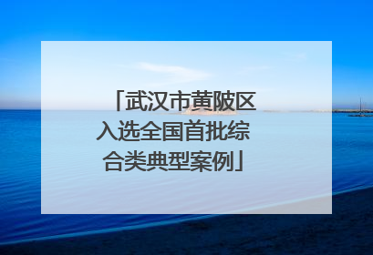 武汉市黄陂区入选全国首批综合类典型案例