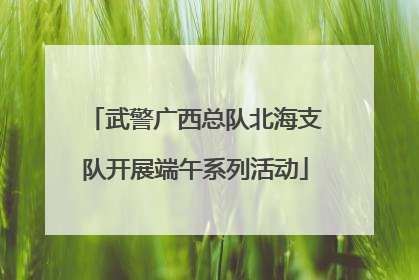 武警广西总队北海支队开展端午系列活动
