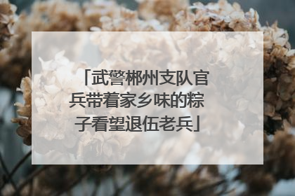 武警郴州支队官兵带着家乡味的粽子看望退伍老兵