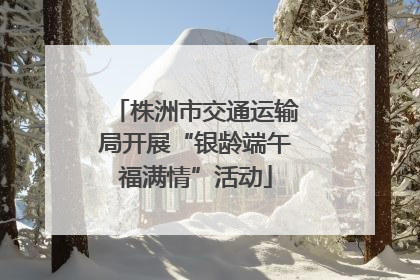 株洲市交通运输局开展“银龄端午福满情”活动