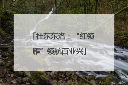 桂东东洛：“红领雁”领航百业兴