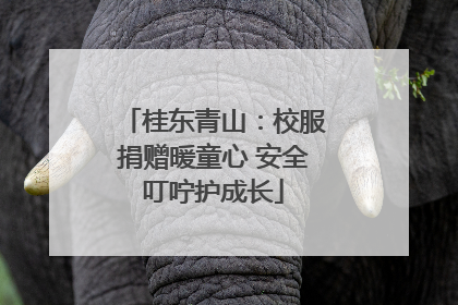 桂东青山：校服捐赠暖童心 安全叮咛护成长