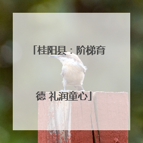 桂阳县：阶梯育德 礼润童心