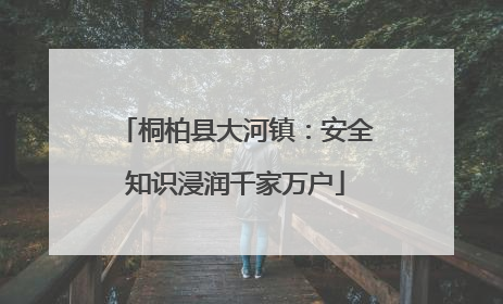桐柏县大河镇：安全知识浸润千家万户