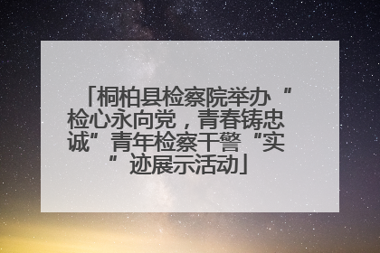 桐柏县检察院举办“检心永向党，青春铸忠诚”青年检察干警“实”迹展示活动