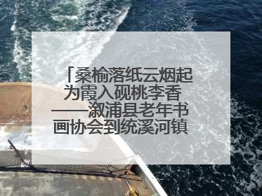 桑榆落纸云烟起 为霞入砚桃李香——溆浦县老年书画协会到统溪河镇学校开展书画进校园活动