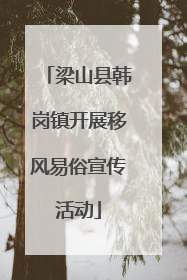 梁山县韩岗镇开展移风易俗宣传活动