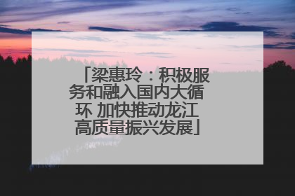 梁惠玲：积极服务和融入国内大循环 加快推动龙江高质量振兴发展