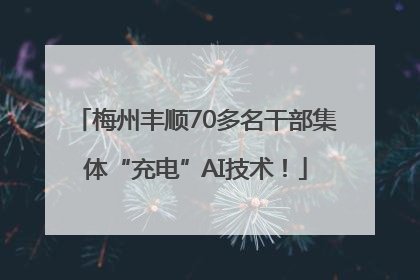 梅州丰顺70多名干部集体“充电”AI技术！