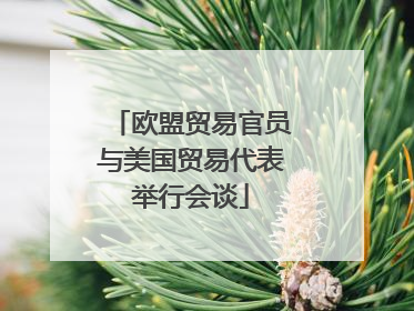 欧盟贸易官员与美国贸易代表举行会谈