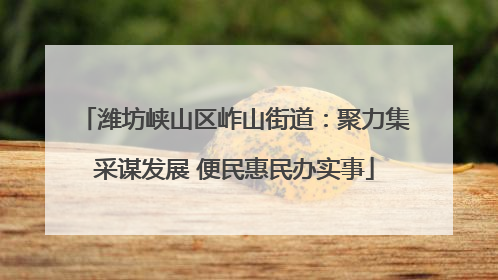 潍坊峡山区岞山街道：聚力集采谋发展 便民惠民办实事