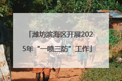 潍坊滨海区开展2025年“一喷三防”工作