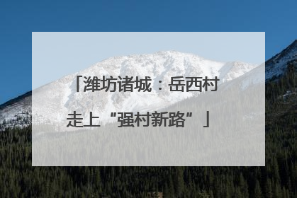 潍坊诸城：岳西村走上“强村新路”