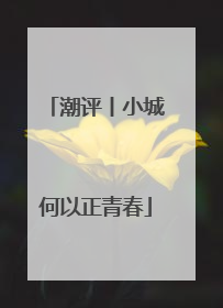 潮评丨小城何以正青春