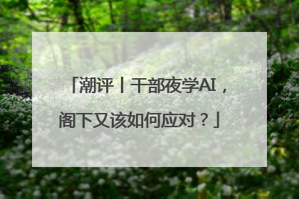 潮评丨干部夜学AI，阁下又该如何应对？