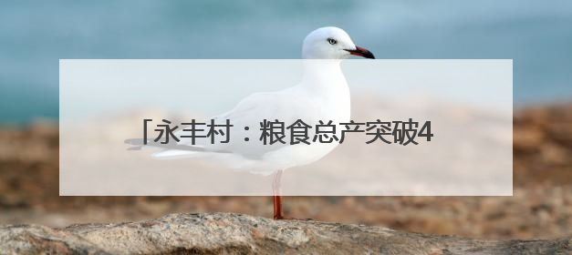 永丰村：粮食总产突破4600吨 村集体经济收入三年倍增｜牵挂的村