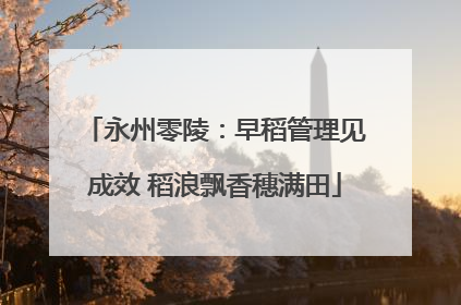 永州零陵：早稻管理见成效 稻浪飘香穗满田