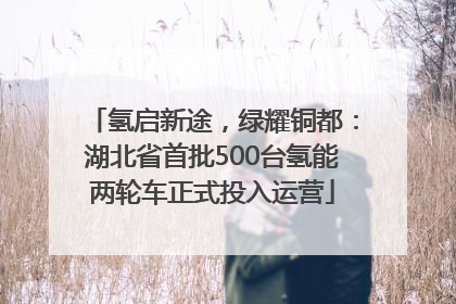 氢启新途，绿耀铜都：湖北省首批500台氢能两轮车正式投入运营