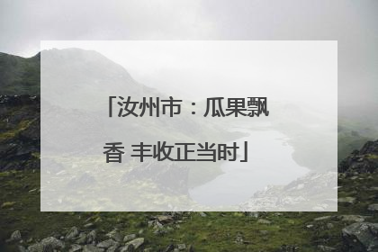 汝州市：瓜果飘香 丰收正当时