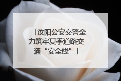汝阳公安交警全力筑牢夏季道路交通“安全线”