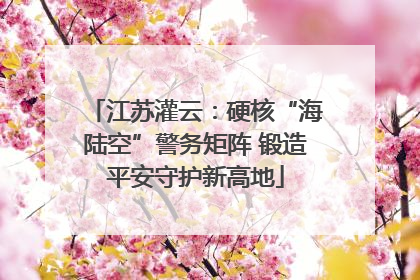 江苏灌云：硬核“海陆空”警务矩阵 锻造平安守护新高地