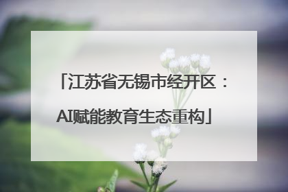 江苏省无锡市经开区：AI赋能教育生态重构