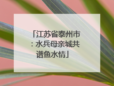江苏省泰州市：水兵母亲城共谱鱼水情