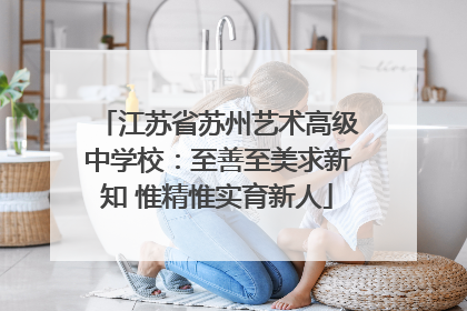 江苏省苏州艺术高级中学校：至善至美求新知 惟精惟实育新人