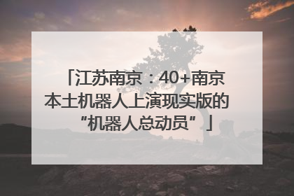 江苏南京：40+南京本土机器人上演现实版的“机器人总动员”