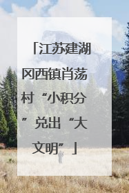 江苏建湖冈西镇肖荡村“小积分”兑出“大文明”