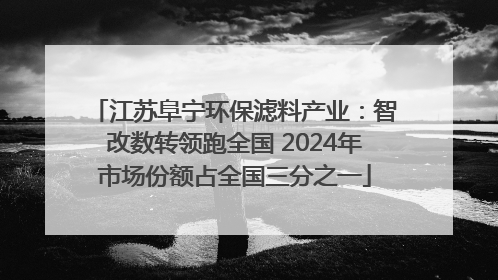 江苏阜宁环保滤料产业：智改数转领跑全国 2024年市场份额占全国三分之一