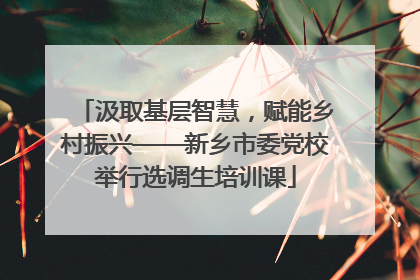 汲取基层智慧，赋能乡村振兴——新乡市委党校举行选调生培训课