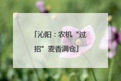 沁阳：农机“过招”麦香满仓
