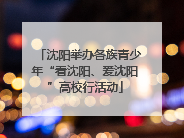 沈阳举办各族青少年“看沈阳、爱沈阳”高校行活动