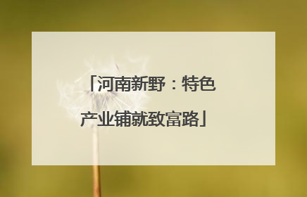 河南新野：特色产业铺就致富路