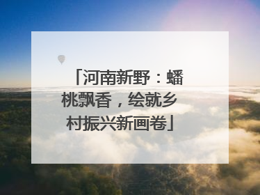 河南新野：蟠桃飘香，绘就乡村振兴新画卷