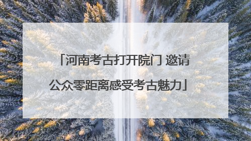 河南考古打开院门 邀请公众零距离感受考古魅力
