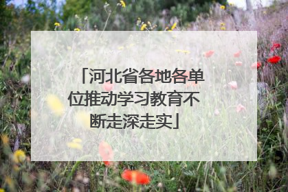 河北省各地各单位推动学习教育不断走深走实