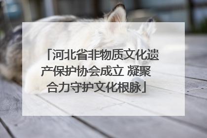 河北省非物质文化遗产保护协会成立 凝聚合力守护文化根脉