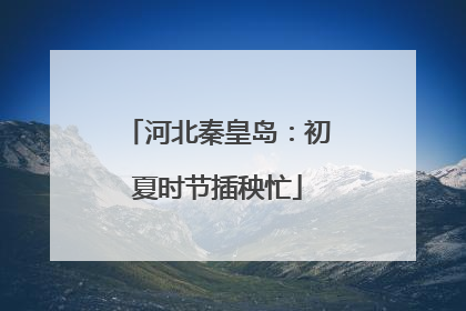 河北秦皇岛：初夏时节插秧忙