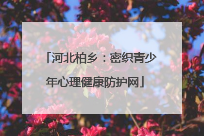河北柏乡：密织青少年心理健康防护网