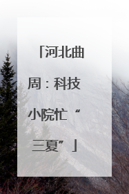 河北曲周：科技小院忙“三夏”