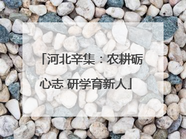 河北辛集：农耕砺心志 研学育新人